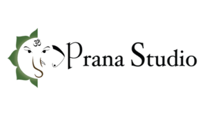 Prana Studio